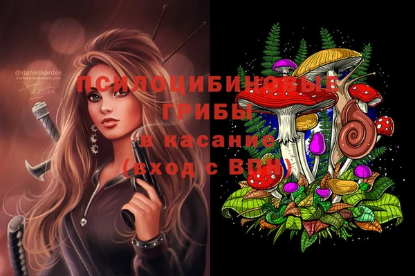 прущая мука Арсеньев