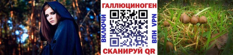 МЕГА ONION Рудня Псилоцибиновые грибы Cubensis наркота