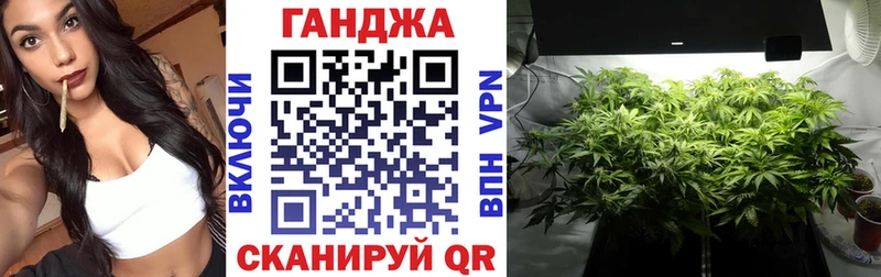Бошки Шишки SATIVA & INDICA  купить наркоту  Рудня 